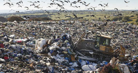 Heavy machinery shredding garbage in an open air landfill. Waste